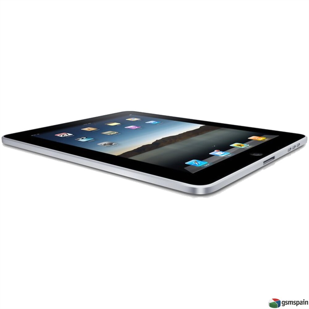 Apple iPad (A1337 | 2010 | 256 MiB | 32 GB)